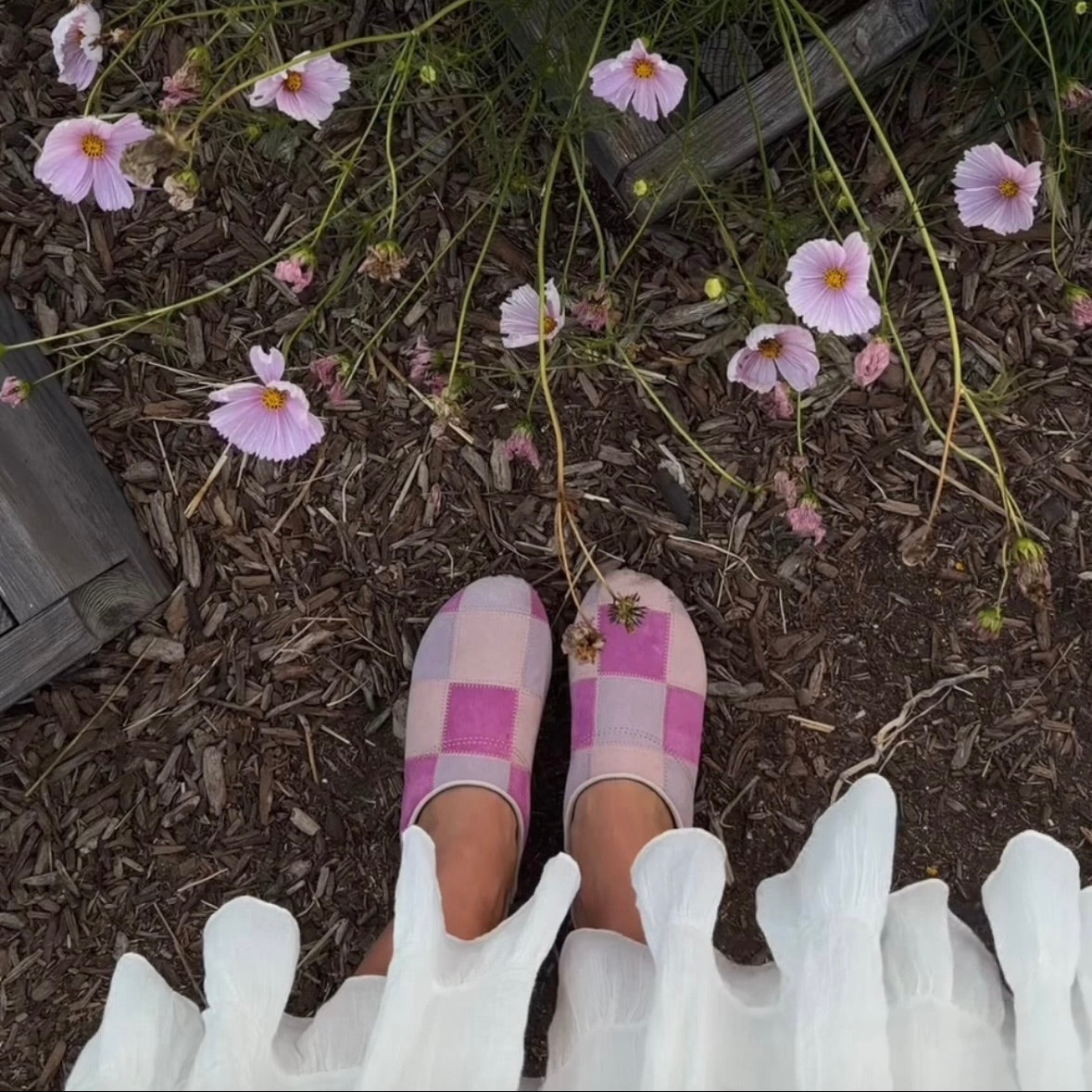 Pair of pink and purple slippers on a white background