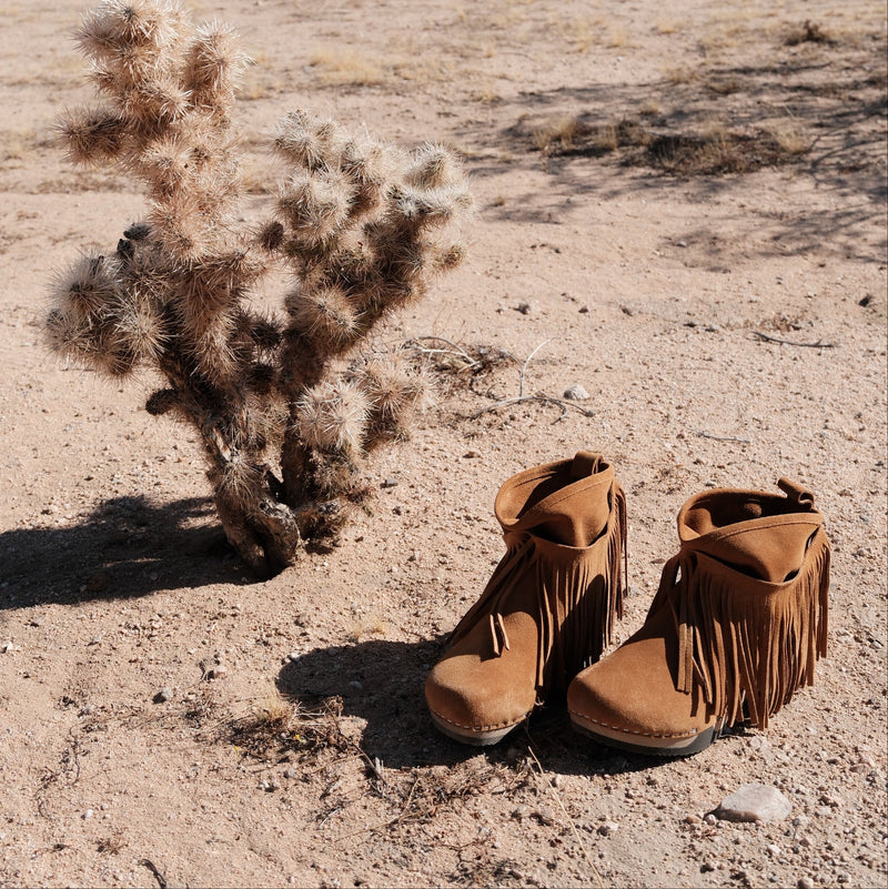 A pair of brown suede fringe boots placed on sandy ground beside a cholla cactus in an outdoor desert setting.